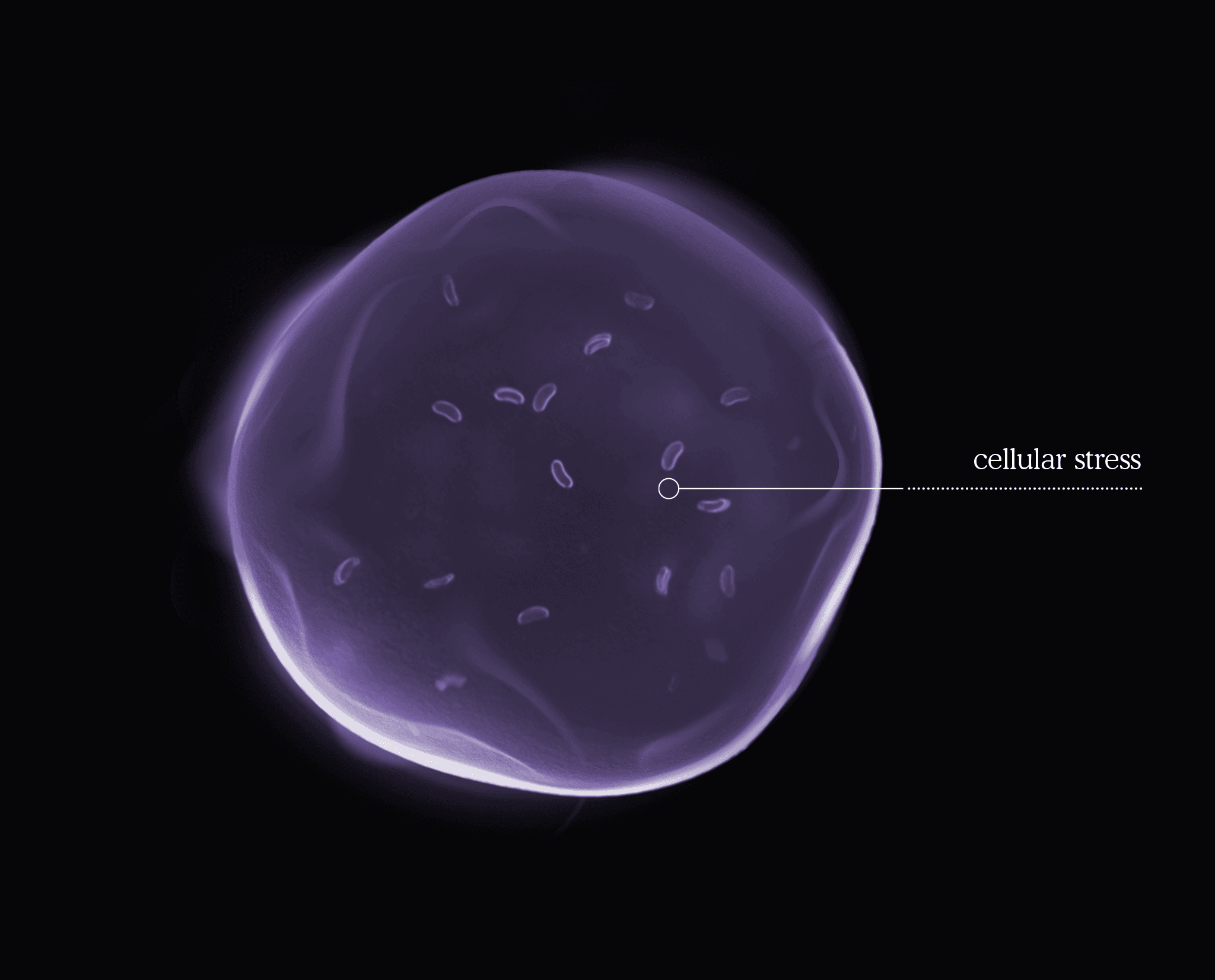 stressed cell illustration in purple